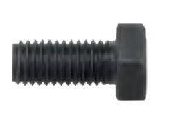 Caliper Bolt M12X2/25 mm